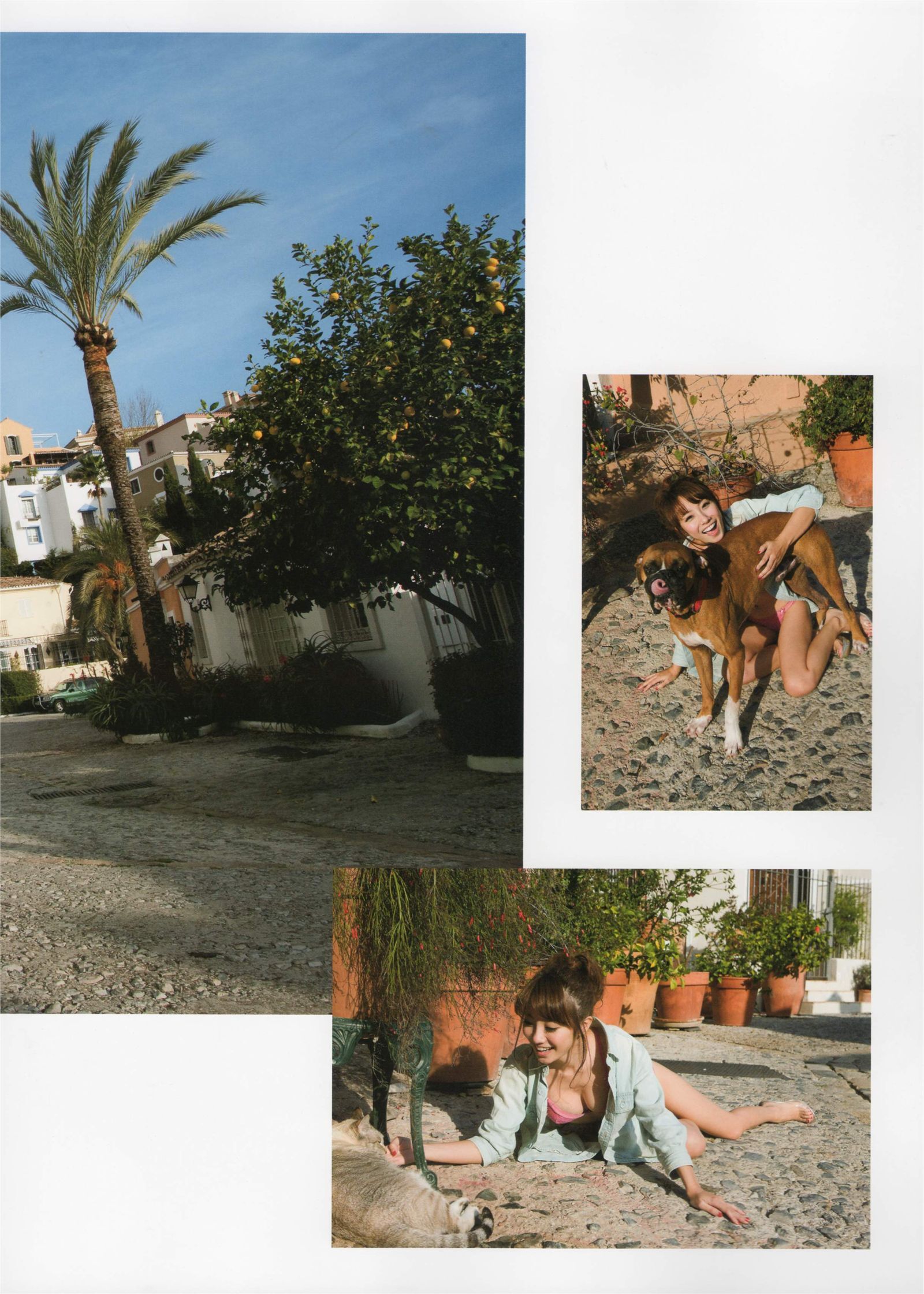 [PB写真集] 山本梓  -  As One